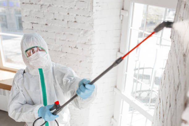 Best Residential Mold Remediation in Hugoton, KS